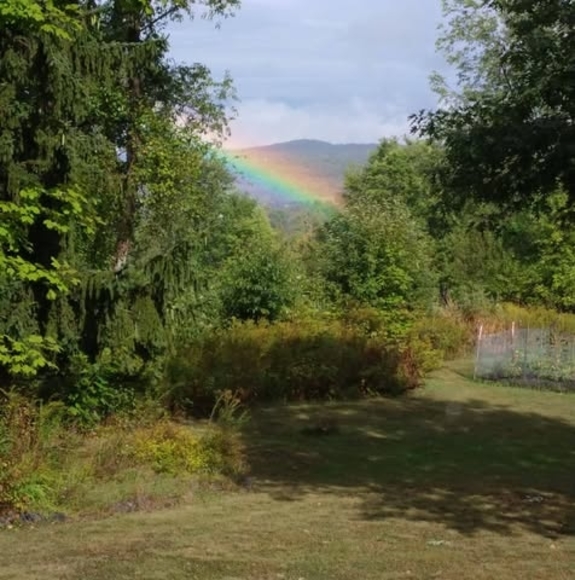 Meet your Posher, Thierry - Picture 1 of 1